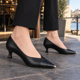 Empoli Pointed Pumps - Lead Product Detail